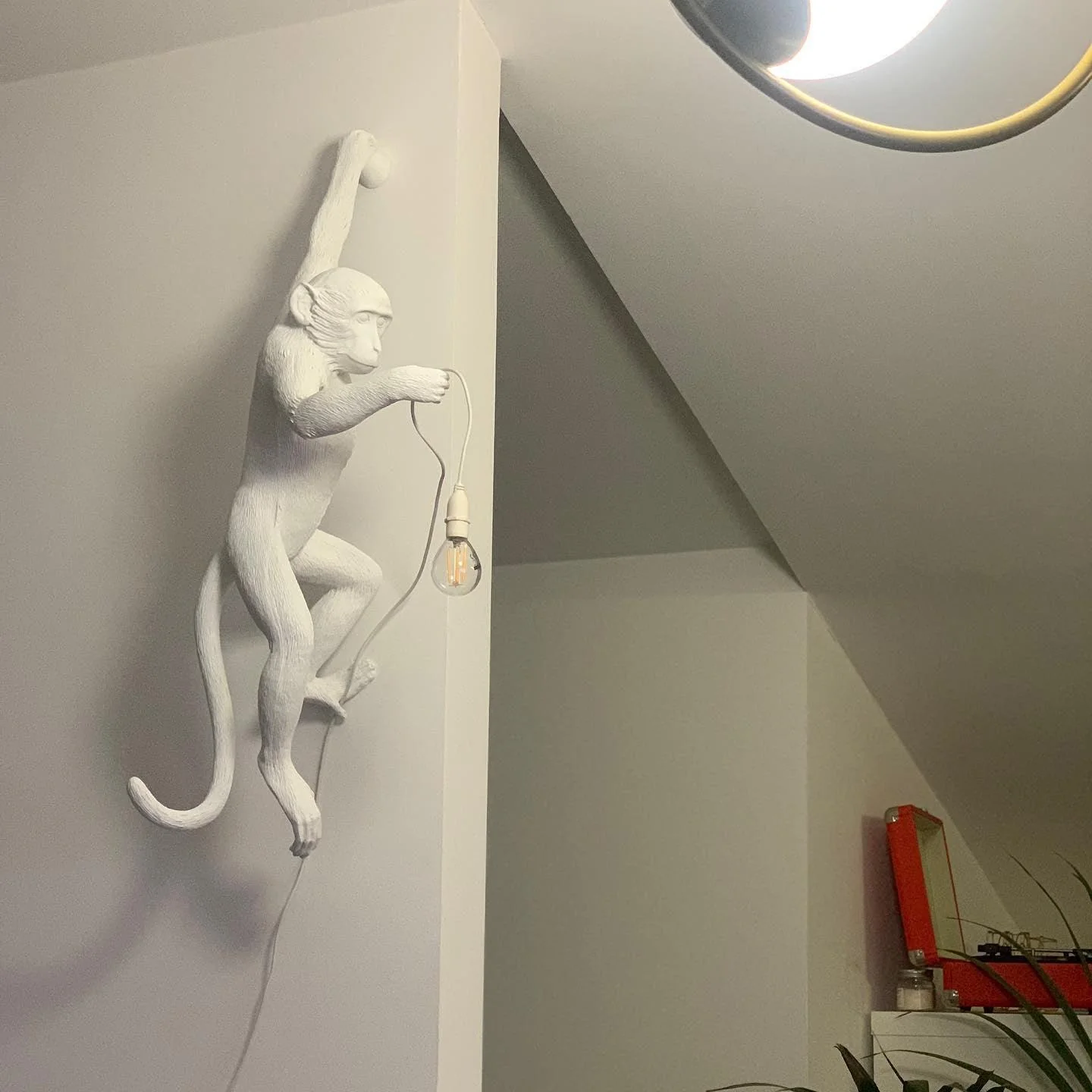 Monkey Wall Sconce Lamp